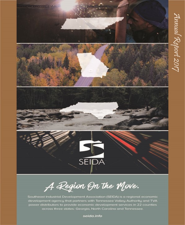 SEIDA Annual Report 2017 Cover Page