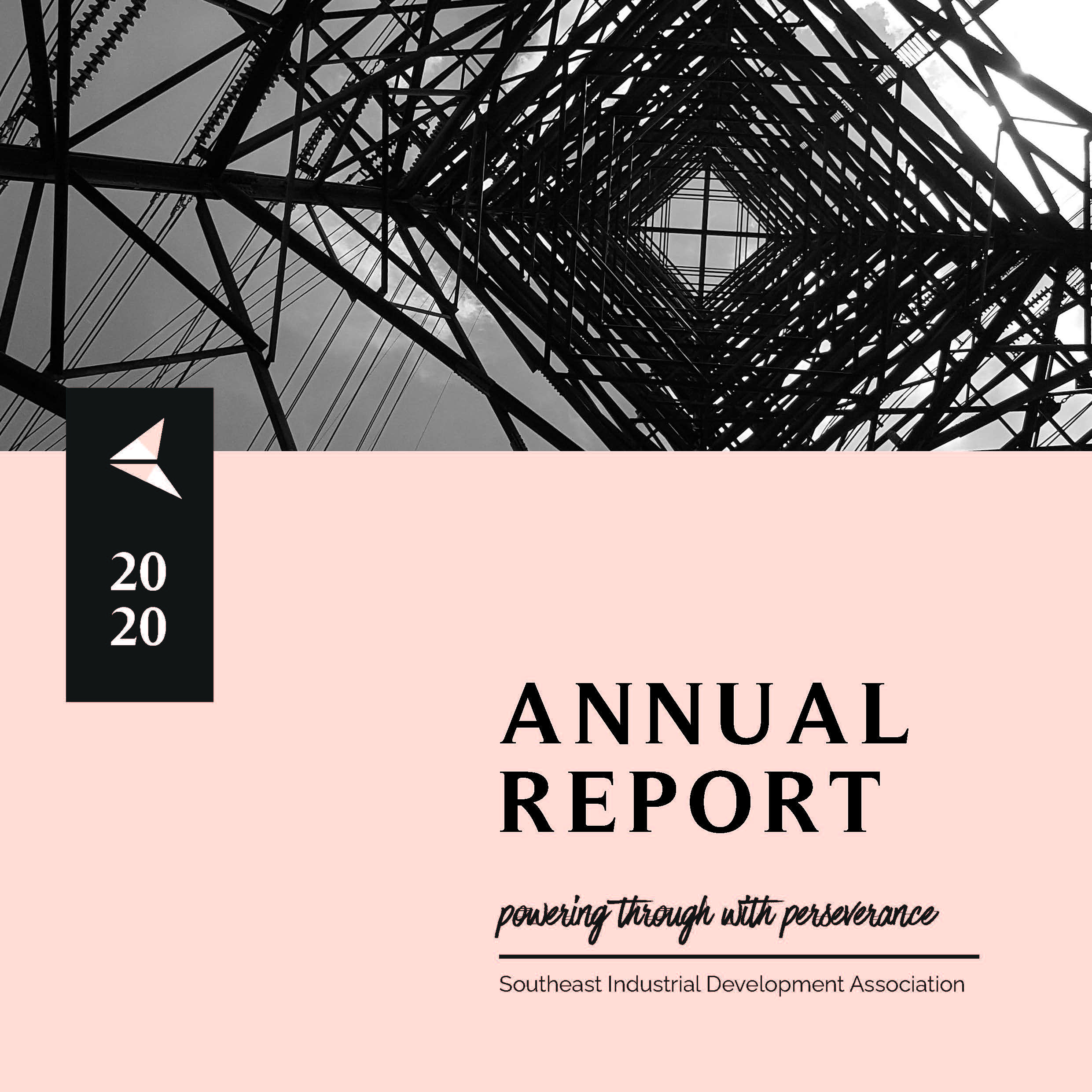 SEIDA annual report 2020_Page_01